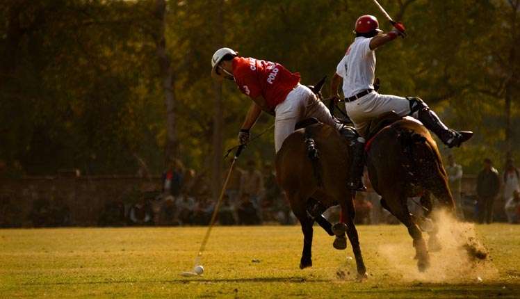 Polo-Luxury Sports